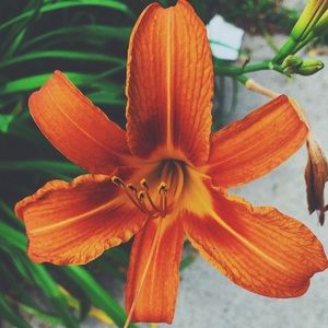 Meet your Posher, Exerte